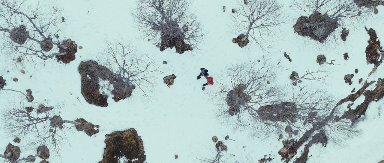 Overhead view of two people crossing a snowy landscape